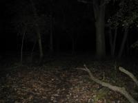Chicago Ghost Hunters Group investigates Robinson Woods (196).JPG